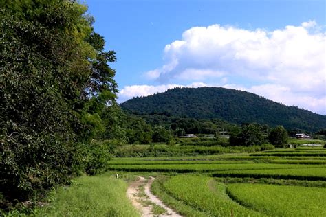 三諸山|三輪山（みわやま）